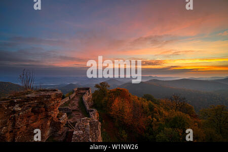 Blick von der höchsten Burg im Pfälzerwald, genannt Wegelnburg, Nothweiler, Pfälzer Wald, Rheinland-Pfalz, Deutschland Stockfoto