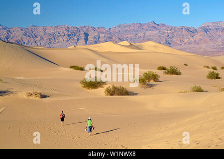 Blick über Mesquite flachen Sand Dünen von Stovepipe Wells Village in Richtung Amargosa Range, Death Valley National Park, Kalifornien, USA, Nordamerika Stockfoto