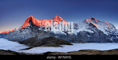 Panorama mit alpenglühen am Eiger, Mönch und Jungfrau, Meer von Nebel über Grindelwald, Kleine Scheidegg, Grindelwald, UNESCO Welterbe Schweizer ein Stockfoto