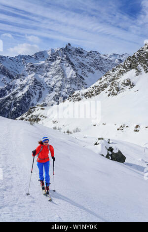 Frau back-country skiing aufsteigender Richtung Sella d'Asti, Pic d'Asti im Hintergrund, Sella d'Asti, Valle Varaita, Cottischen Alpen, Piemont, Italien Stockfoto