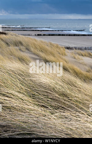 Küste, Sandstrand, Buhne, Westkapelle in der Nähe von Domburg, Nordseeküste, Zeeland, Niederlande Stockfoto