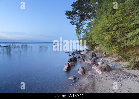 Ufer des Sees Vättern in der Nähe von karlsborg am Abend, February, Götaland, Süd Schweden, Schweden, Skandinavien, Nordeuropa, Europa Stockfoto