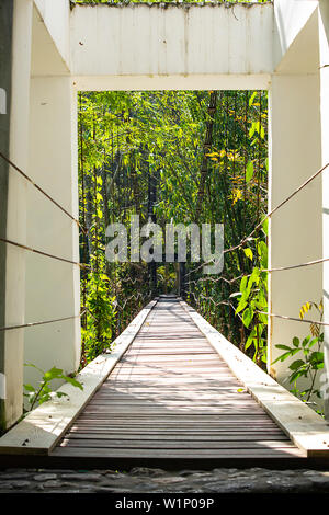 Die hölzerne Brücke über den Wasserfall auf einer geneigten Drahtseil. Stockfoto