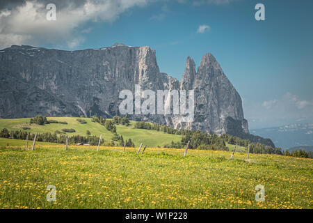 Seiser Alm, Blick auf den Schlern, Dolomiten an angesehen Compatsch Stockfoto