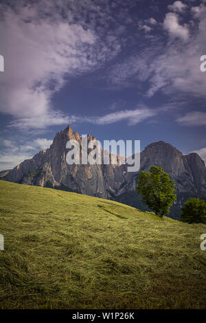 Die Seis am Schlern, Dolomiten, Kastelruth, Castelrotto in Italien gesehen Stockfoto