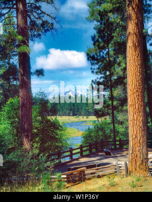 Metolius Fluss mit Pferden in der Wiese Farbe. Oregon. Stockfoto