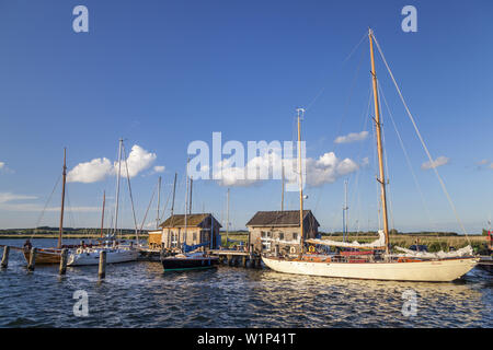 Boote im Hafen von Gager, Insel Rügen, Ostsee, Mecklenburg-Vorpommern, Norddeutschland, Deutschland, Europa Stockfoto