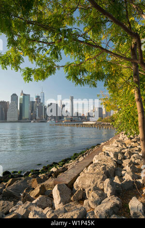 Blick vom Brooklyn Bridge Park zur Skyline von Manhattan, New York City, New York, USA Stockfoto