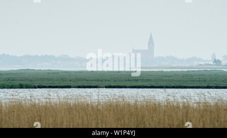 Zingst, Ostsee, Seebad, Kurort, Barther Bodden, Schilfgürtel, Kirche, Dorf, Küstenstreifen, Kirchturm, Brackwasser, Deutschland Stockfoto