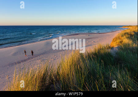 Breiten Sandstrand mit Wanderern auf Gotska Sandoe, die Insel/Nationalpark liegt in der Ostsee im Norden der Insel Gotland, Schweden Stockfoto