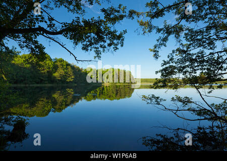 Blick über den See nach Malchow Kloster, Mueritz-Elde-Wasserstrasse, Mecklenburgische Seenplatte, Mecklenburg-Vorpommern, Deutschland Stockfoto