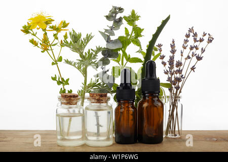 Ätherische Öle mit Kräutern und Blumen auf Holz- Hintergrund Stockfoto