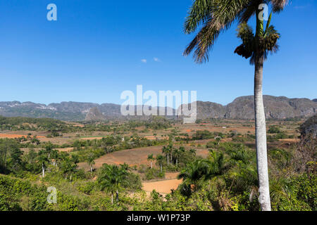 Mogotes und Tabak Felder in Vinales, Klettern region, Einsamkeit, Natur, Familie reisen nach Kuba, Elternurlaub, Urlaub, Time-out, adventu Stockfoto