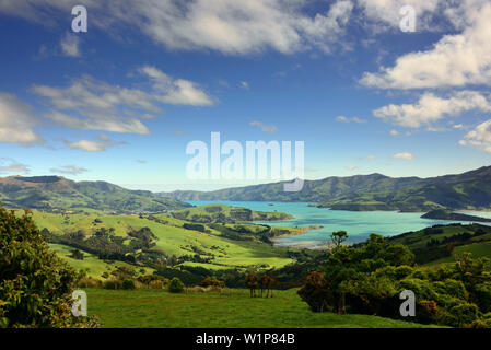 Blick in den Hafen von Akaroa, Halbinsel von Akaroa, Ostküste, Südinsel, Neuseeland Stockfoto