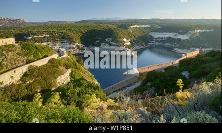 Bucht von Bonifacio, Departement Corse du Sud, Korsika, Frankreich Stockfoto