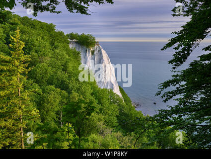 Mit Koenigstuhl Kreideküste im Nationalpark Jasmund, Rügen, Mecklenburg Vorpommern, Deutschland Stockfoto