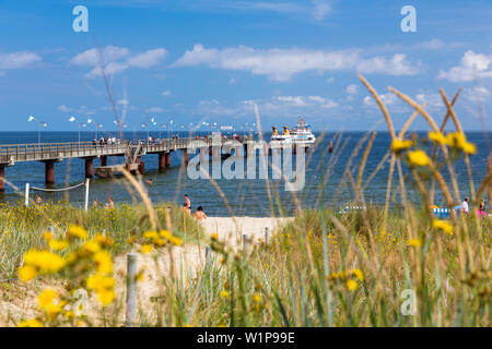 Ein Steg am Strand von Göhren, Insel Rügen, Ostsee, Deutschland, Europa Stockfoto