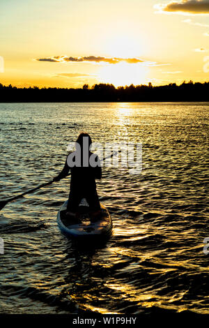 Silhouette einer Frau kniend auf paddle Board und Rudern in den Sonnenuntergang. Ottawa River Woodstock Ontario Kanada. Stockfoto