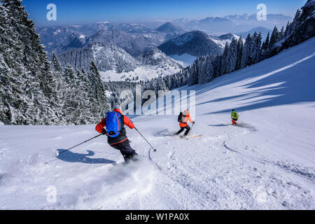 Drei Personen backcountry Skiing in absteigender Reihenfolge von Wildalpjoch, Wildalpjoch, Bayerische Alpen, Oberbayern, Bayern, Deutschland Stockfoto