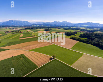 Vogelperspektive über die Felder in der Gemeinde Saaldorf-Surheim im Berchtesgadener Land, Hügel und Berge im Hintergrund Stockfoto