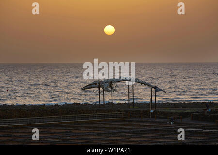 Sonnenaufgang am Museum von Salz bei Las Salinas in der Nähe von Caleta de Fustes, Fuerteventura, Kanarische Inseln, Islas Canarias, Atlantik, Spanien, Europa Stockfoto