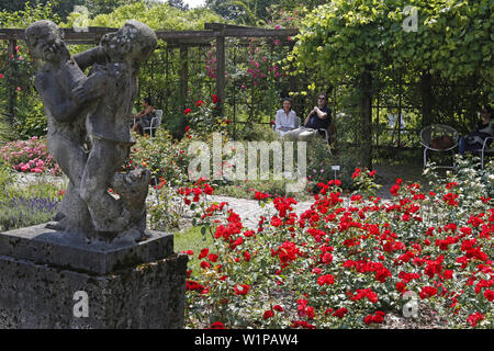 Rose Garden, Public Garden der alten Baumschule Bischweiler, Untergiesing, München, Oberbayern, Bayern, Deutschland Stockfoto