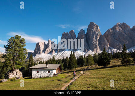 Geisler Berge, Blick von Villnösser Tal, Glatschalm, Dolomiten, Alpen, Südtirol, Italien, Europa Stockfoto