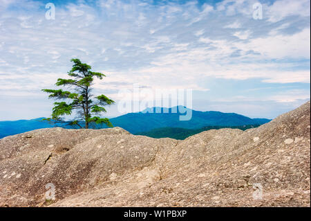 Blick auf eine felsige Grenze entlang der Blue Ridge Parkway National Park in North Carolina. Stockfoto