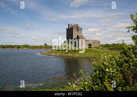 Die Ruinen von Dunguaire Castle Schloss liegt am Rande einer Bucht am Atlantik, in der Nähe von Kinvara, County Galway, Irland, Europa Stockfoto