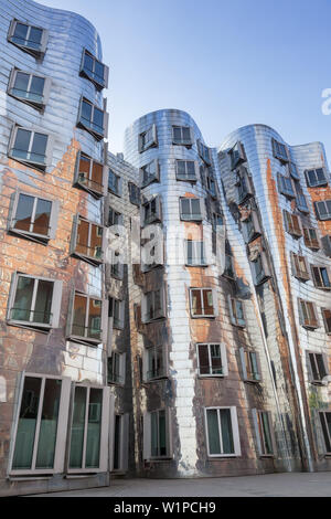 Aufbau neuer Zollhof von Architekt Frank O. Gehry im Düsseldorfer Medienhafen, Düsseldorf, Nordrhein-Westfalen, Deutschland, Europa Stockfoto