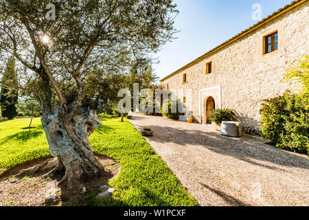 Finca Son Gener in der Nähe von Arta, Mallorca, Balearen, Spanien Stockfoto