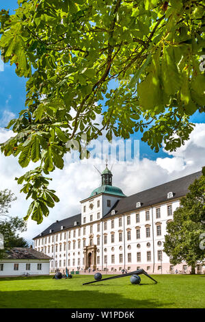 Museum im Schloss Gottorf, Schleswig, Ostsee, Schleswig-Holstein, Deutschland Stockfoto