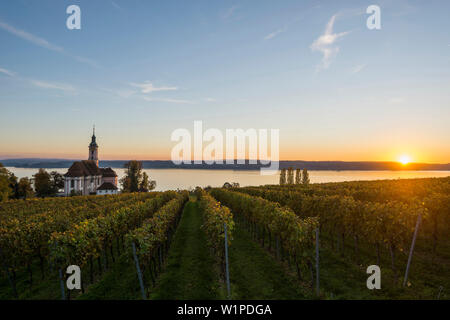 Wallfahrtskirche Birnau mit Weinberge im Herbst bei Sonnenuntergang, Uhldingen-Mühlhofen, Bodensee, Baden-Württemberg, Deutschland Stockfoto