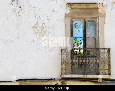 Der Blick durch die französischen Fenster in einem trostlosen verwitterten Hausfassade in Portugal zeigt die lebendige Schönheit der Natur (Frontal, Querformat Stockfoto