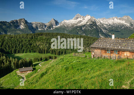 Mehrere Almen mit Birnhorn in Leogang Berge, Kallbrunnalm, Berchtesgadener Alpen, Salzburg, Österreich Stockfoto