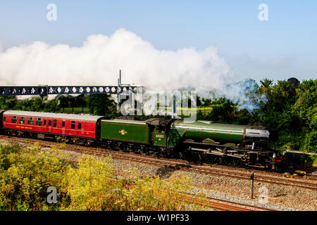 Der Flying Scotsman, Dampflokomotive Nummer 60103, Dämpfe unter einem Gantry für die Elektrifizierung der Bahnstrecke zwischen Bedford und Kettering verwendet werden Stockfoto