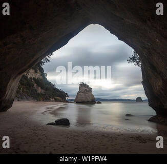 Cathedral Cove, Coromandel, Thames-Coromandel Bezirk, Coromandel Halbinsel, North Island, Neuseeland, Ozeanien Stockfoto