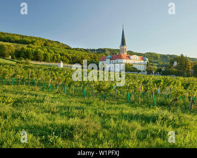 Pin in Gumpoldskirchen, Thermal Region, Lower Austria, Austria Stockfoto