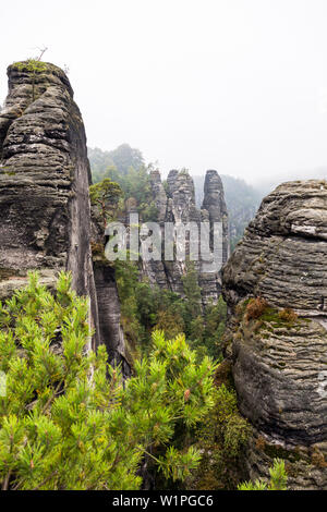Felsformation Bastei, Nationalpark Sächsische Schweiz, Elbsandsteingebirge, Sachsen, Deutschland, Europa Stockfoto