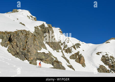 Frau backcountry Skiing aufsteigender Richtung Steintalspitze, Steintalspitze, Sellrain, Stubaier Alpen, Tirol, Österreich Stockfoto