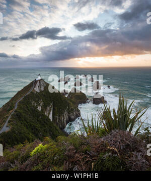Nugget Point bei Sonnenaufgang, Catlins, Otago, Südinsel, Neuseeland, Ozeanien Stockfoto
