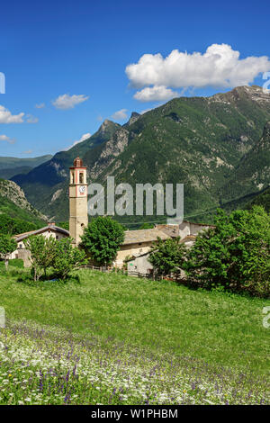 Alpine Wiese mit Blumen mit alpinen Dorf im Hintergrund, Val Maira, Cottischen Alpen, Piemont, Italien Stockfoto