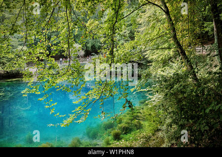 Besucher genießen das endlose blaue Wasser der "blautopf" in Blaubeuren, Alb-Donau-Kreis, Schwäbische Alb, Baden-Württemberg, Deutschland Stockfoto