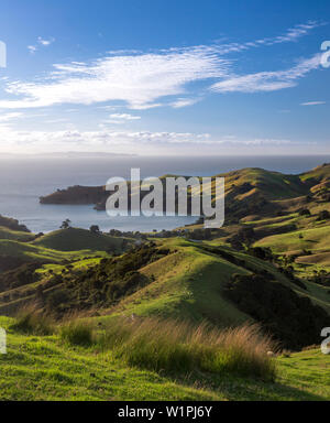 Coromandel, Hauraki Gulf, Thames-Coromandel Bezirk, Coromandel Halbinsel, North Island, Neuseeland, Ozeanien Stockfoto