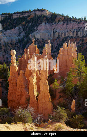 Blick von Fairyland Point im Bryce Canyon National Park, Utah, USA, Nordamerika Stockfoto