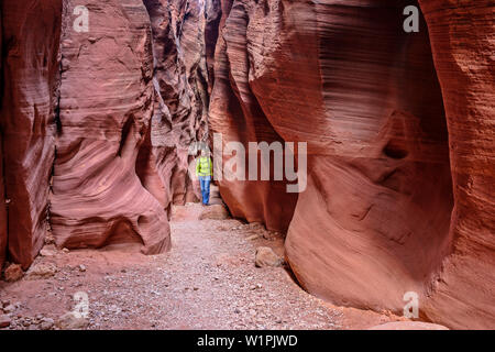 Frau wandern durch den Red Canyon, Buckskin Gulch, Grand Staircase-Escalante National Monument, Utah, USA Stockfoto