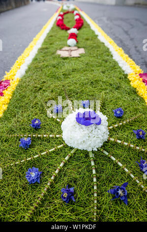 Die Blütenblätter auf den Boden, Corpus Christi, Fest Fronleichnam Prozession, Sipplingen, Bodensee, Baden-Württemberg, Deutschland, Europa Stockfoto