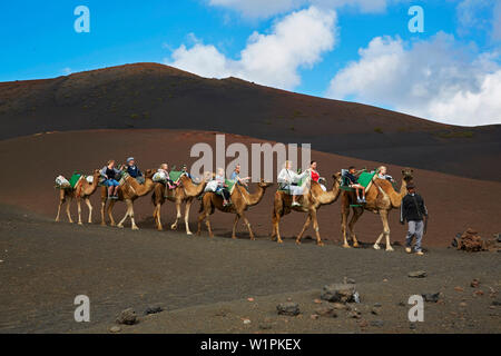 Station für dromedare in der Montanas del Fuego de Timanfaya, National Park, Lanzarote, Kanarische Inseln, Islas Canarias, Spanien, Europa Stockfoto