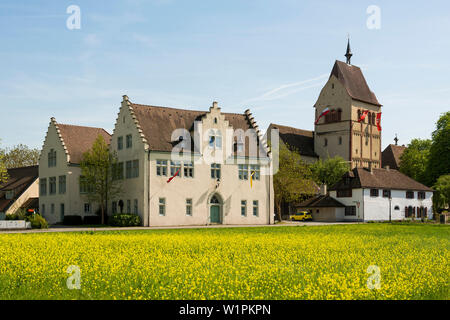 Münster St. Maria und Markus, Klosterinsel, Mittelzell, Insel Reichenau, Bodensee, Baden-Württemberg, Deutschland Stockfoto