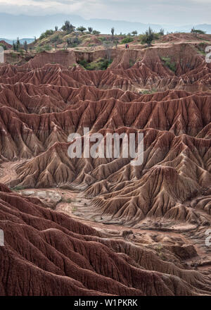 Surreale Landschaft bei Tatacoa Wüste (Desierto de la Tatacoa), Gemeinde Villavieja in der Nähe Neiva, Departmento Huila, Kolumbien, Südamerika Stockfoto